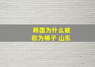 韩国为什么被称为棒子 山东